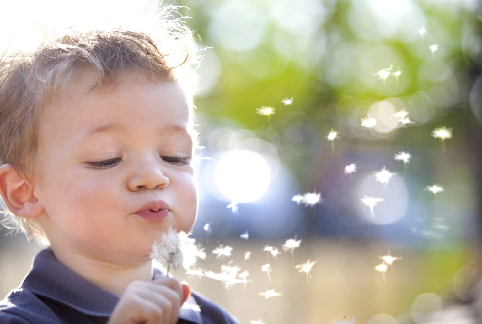 Sinusitis-Pediatric-symptoms A young child blowing on a dandelion.